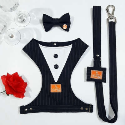 peitoral com lacinho